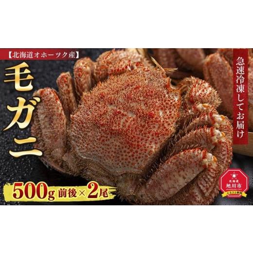 ふるさと納税 北海道 旭川市 北海道オホーツク産 毛ガニ 500g 前後×2尾 計1kg