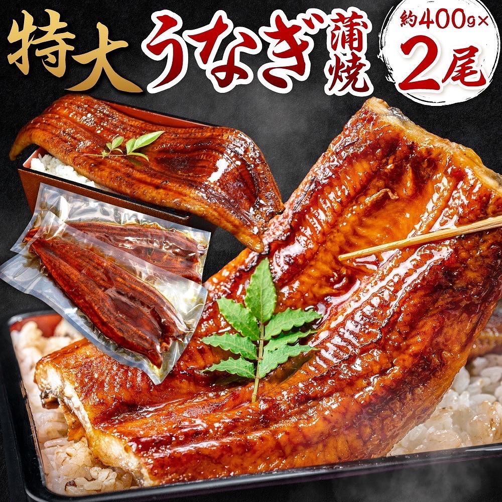 特大うなぎ蒲焼約400g×2尾