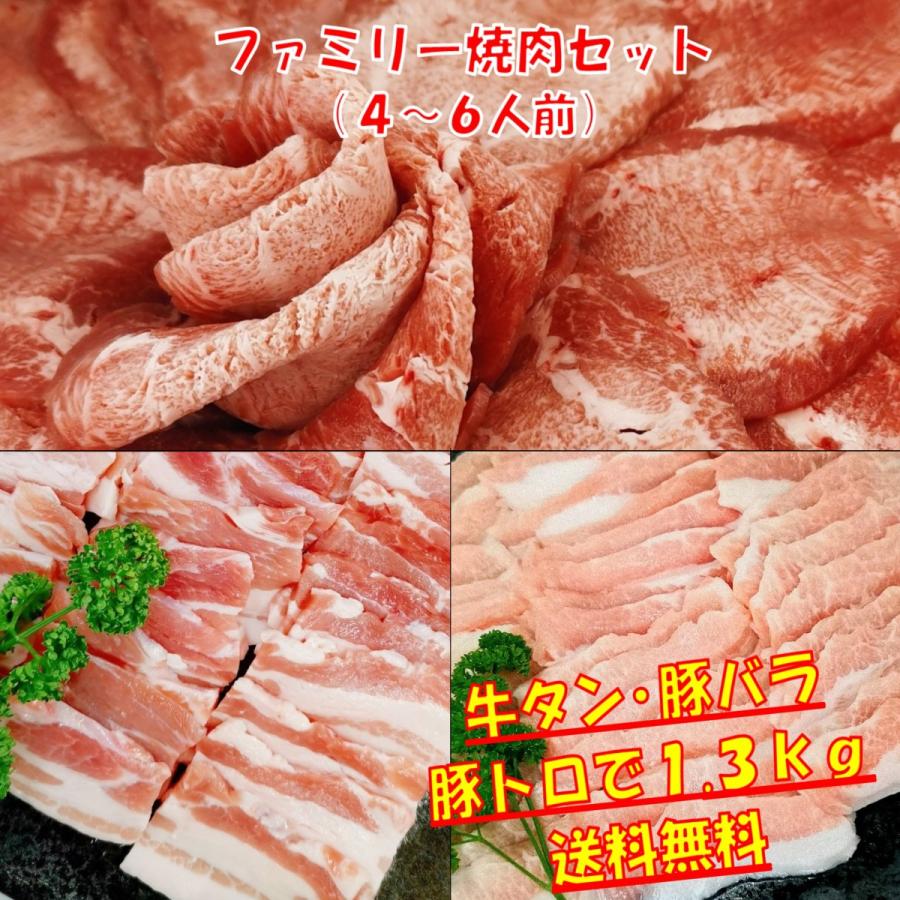 肉 牛タン バーベキュー 食材 焼肉セット BBQ 肉 薄切り 塩タン BBQ 食材 豚バラ 豚トロ 豚肉  バーベキューセット食材 焼肉 1.3kg  4〜6人前