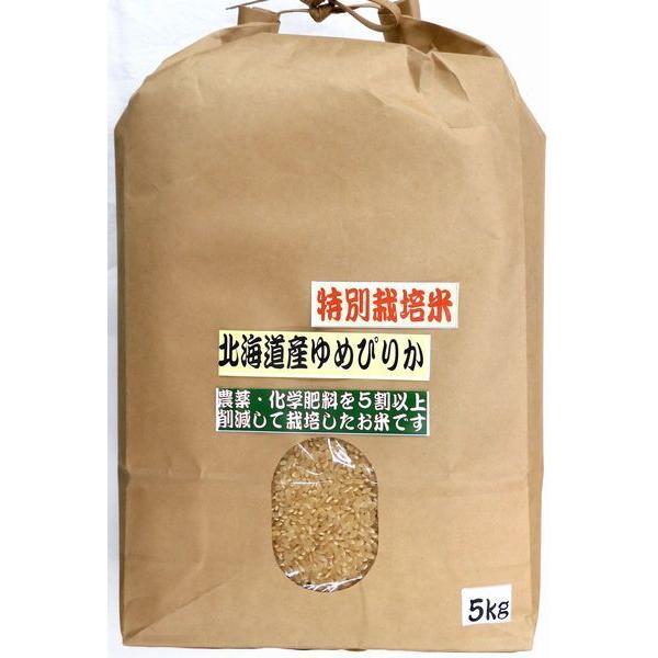 令和４年産 北海道産ゆめぴりか　農薬・化学肥料を抑えた特別栽培米　(玄米) 5kg×2袋　精米無料