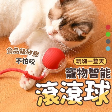 自動逗貓球 滾滾球 逗貓球 逗狗球 尾巴球 逗貓玩具 貓咪玩具 電動逗貓球 貓玩具_充電式免電池