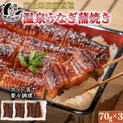 ふるさと納税 杵築市 温泉うなぎ蒲焼カット70g×3