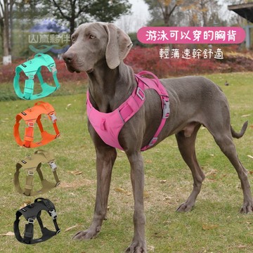 🐕狗狗胸背 輕量化 寵物胸背 防水 背心式 狗胸背 透氣 不沾毛 戶外遛狗 寵物牽引繩 大狗