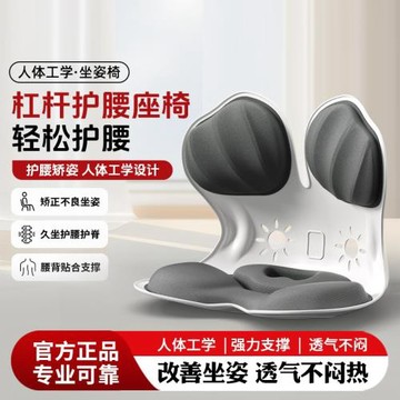 人體工學護腰坐墊靠背墊腰靠腰部支撐矯正坐姿防駝背座椅久坐神器