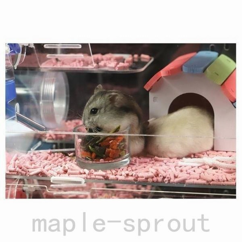 透明なハムスターケージ ハムスターハウス ペッ通気性抜群 3階)A