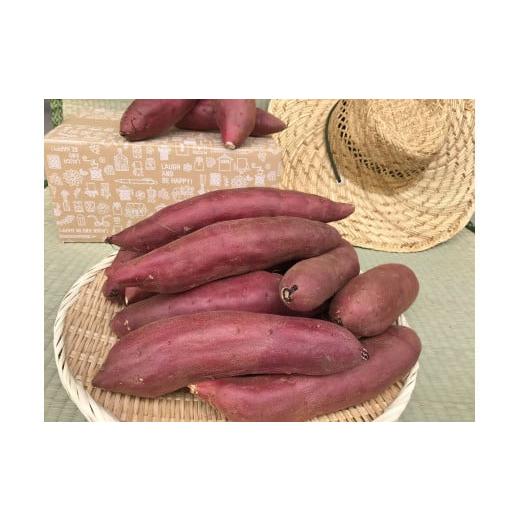 ふるさと納税 茨城県 鹿嶋市 KBE-59　焼き芋好きのためのさつま芋　紅はるか10kg