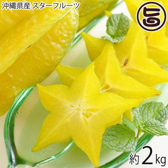 期間限定 沖縄産 スターフルーツ 約2kg 沖縄 南国フルーツ