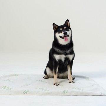 【GLORY】草本忘憂 CBD漢麻二酚 毛小孩安撫墊被