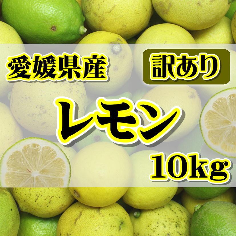 訳あり国産 レモン約10kg 愛媛県産 ワックス・防腐剤不使用 れもん 北海道・沖縄送料別途1000円