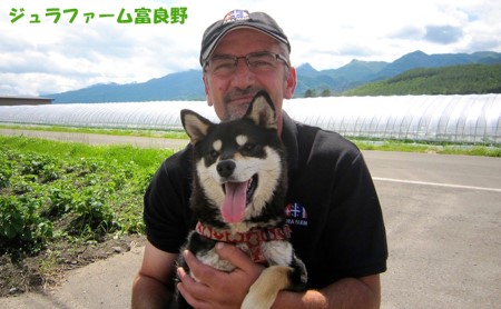 特選 ふらの メロン 3玉 約2kg×3玉 北海道 富良野市 赤肉メロン (ジュラファーム富良野)