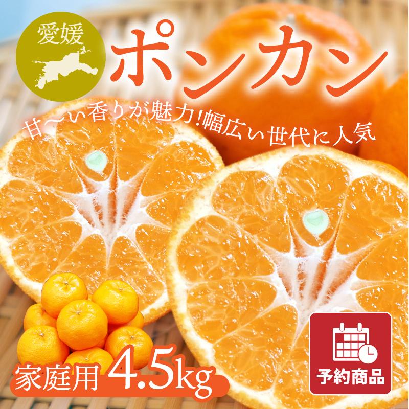 ポンカン ぽんかん 家庭用 4.5kg 愛媛県産みかん みかん 柑橘類 予約商品