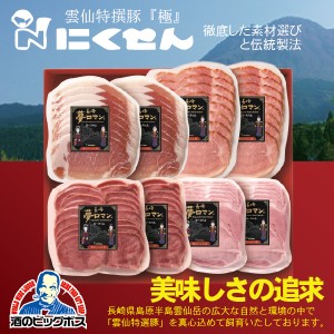 ハムギフト 長崎 雲仙 国産 冷蔵直送 送料無料 にくせん NPG-18 おつまみセット詰め合わせ セット『NKS』