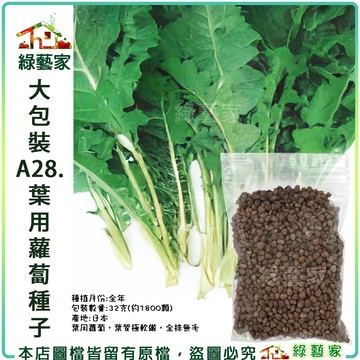 【綠藝家】大包裝A28.葉用蘿蔔種子32克(約1800顆)(日本時田種苗公司進口)葉用蘿蔔 葉質極軟嫩 全株無毛