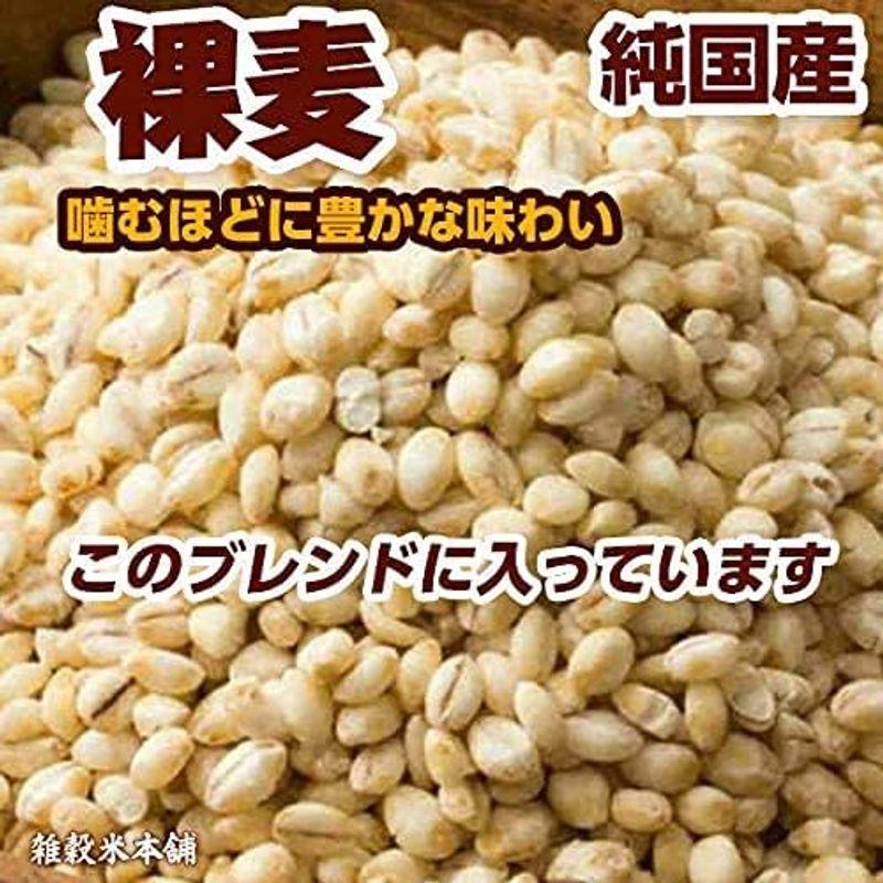 雑穀 麦 国産 麦5種ブレンド(丸麦 押麦 はだか麦 もち麦 はと麦) 1kg(500g×2袋) 一部地域を除く 雑穀米本舗