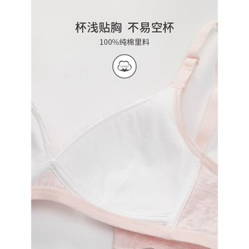 怡蘭芬少女內衣無鋼圈高中生發育期小胸聚攏青春期薄款大學生文胸