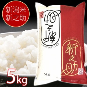 新潟米 新之助 5kg 新潟県産 お米 米 白米 ご飯 ライス お米 大粒 甘味 しんのすけ 新潟 お米 白米 ご飯