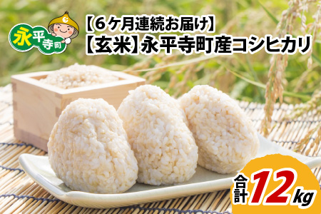  令和5年度産 永平寺町産 コシヒカリ 2kg×6ヶ月（計12kg） [C-033074]