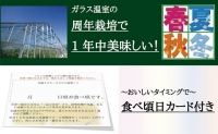 数量限定 メロン 静岡 クラウンメロン 富士等級 2玉 詰 桐箱入り マスクメロン 果物 フルーツ ギフト 贈答 高級 デザート おやつ