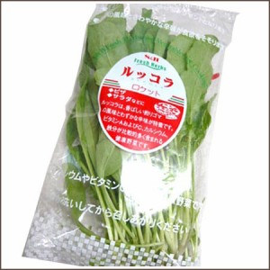 ルッコラ ロケット 調味用 食用ハーブ 1袋40g