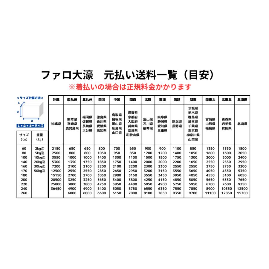 Snow Peak スノーピーク ステンレス真空マグ FK-227