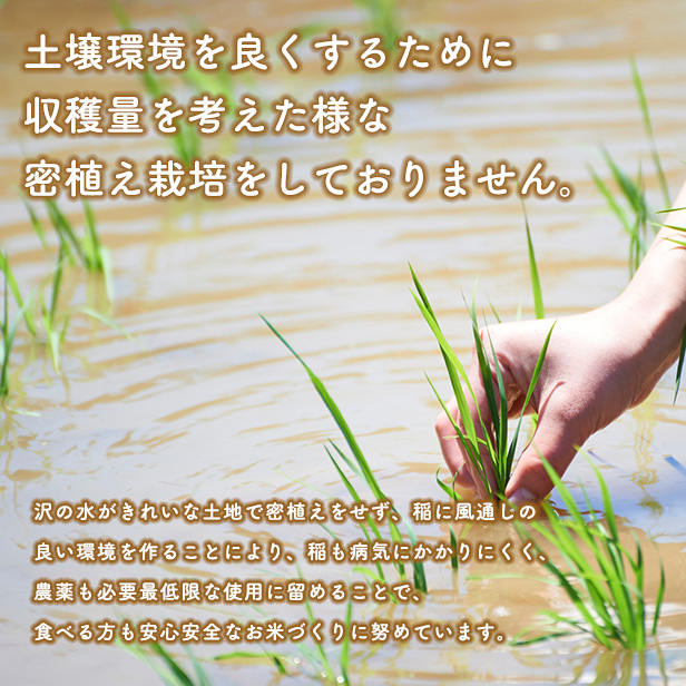 令和5年産　秋田県産　あきたこまち　5ｋｇ　米びつ当番プレゼント付き　米　5ｋｇ　無洗米　送料無料