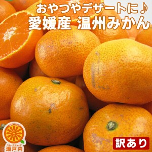 愛媛産 温州みかん 3kg 訳あり・不揃い 愛媛県産 フルーツ