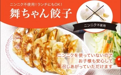 「宇都宮餃子館」舞ちゃん餃子 960ｇ（４８個）≪ギョーザ 冷凍餃子 冷凍食品 グルメ 食品 惣菜 中華惣菜 点心 中華≫