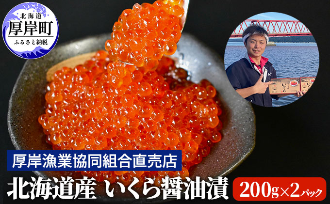 北海道産 いくら 醤油漬け 200g×2パック (合計400g)