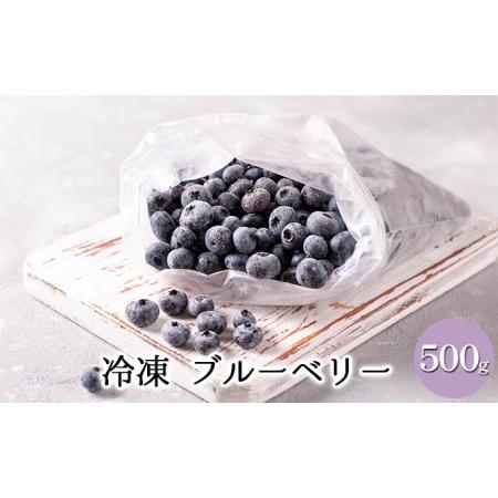 ふるさと納税 冷凍 ブルーベリー 500g 北海道豊浦町