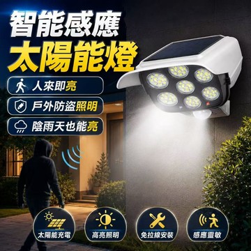 台灣現貨🏍太陽能感應燈 太陽能仿真監控燈 太陽能照明燈 仿真庭院燈 監控防賊防盜燈 LED感應燈 太陽能燈 太陽能壁燈