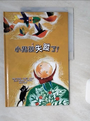 【書寶二手書T8／少年童書_TWH】小男孩失蹤了！：兒童閱讀版_阿巴斯．嘎迪爾．莫森尼,  楊茂秀