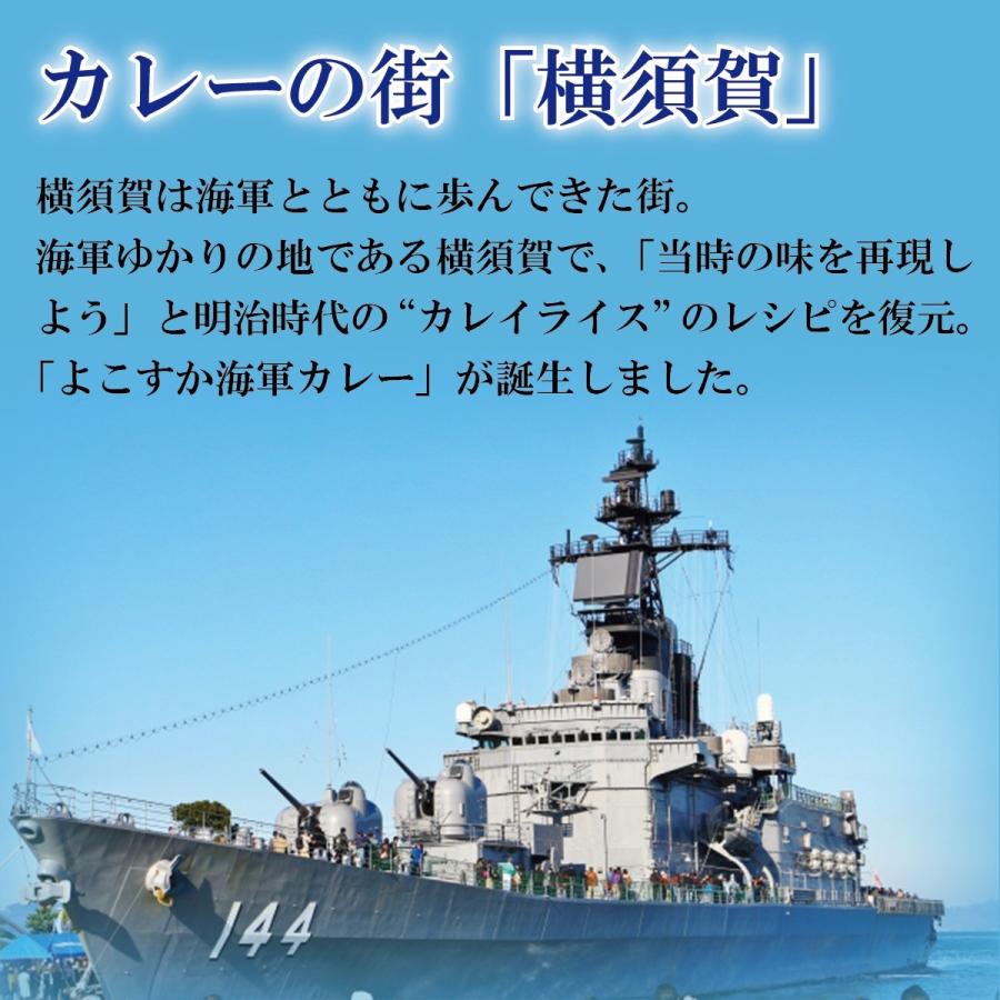 横須賀海軍カレー はろうきてぃ よこすか海軍カレー 200g