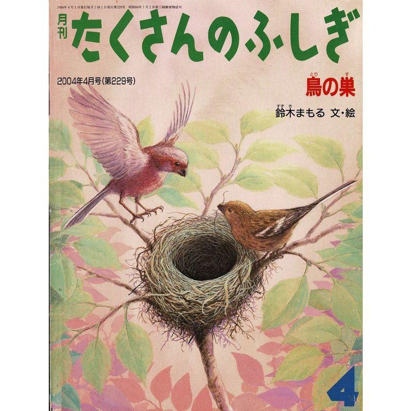 月刊たくさんのふしぎ2004年4月号 鳥の巣