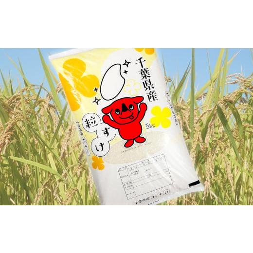 ふるさと納税 千葉県 富津市 令和5年 千葉房総産「粒すけ」15kg（5kg×3袋）精米