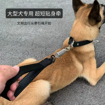 短牽引繩狗狗p鏈中大型犬狗鏈子防爆衝遛狗繩鋼絲P繩狗狗項圈脖圈