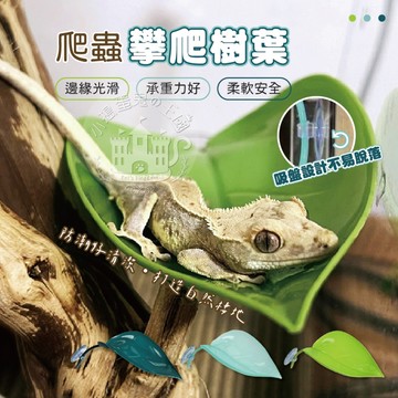 【小搗蛋鬼の王國】爬蟲攀爬樹葉 爬寵仿真造景 仿真躲避洞穴 仿真植物 守宮 蜥蜴 模擬樹葉 躲避物 仿真 植物 棲地