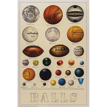 義大利 IFI 海報 世界球類圖鑑