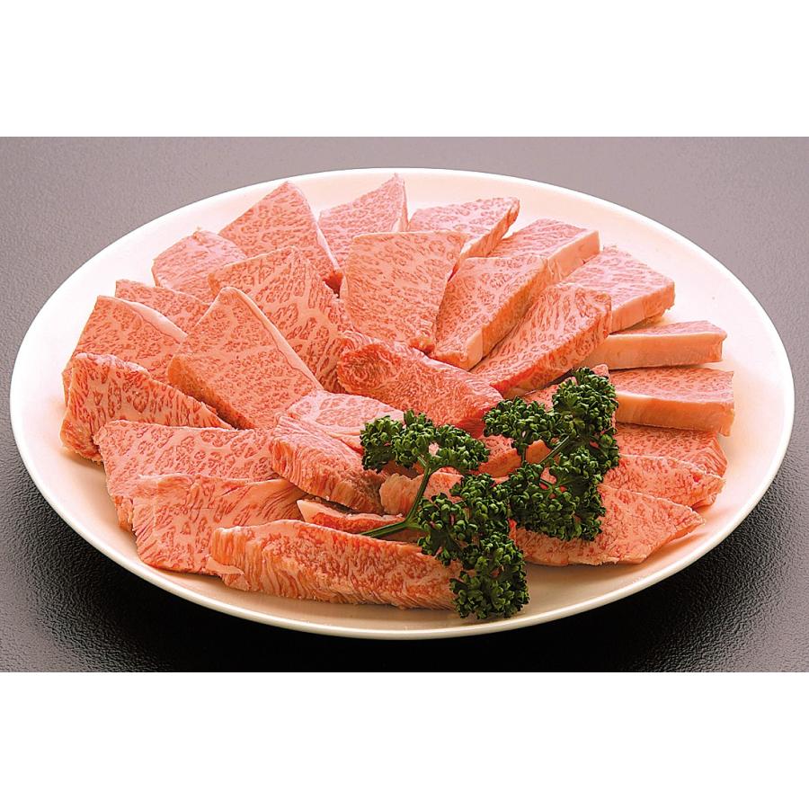 土佐黒毛和牛　カルビ焼肉用　500g