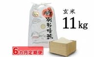 安八町産 ハツシモ (ぎふクリーン米)11kg 令和3年産