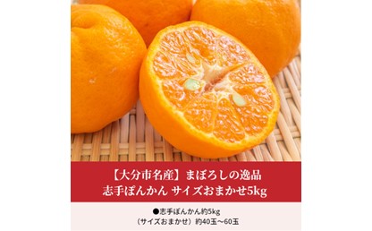 まぼろしの逸品 志手ぽんかん サイズおまかせ5kg