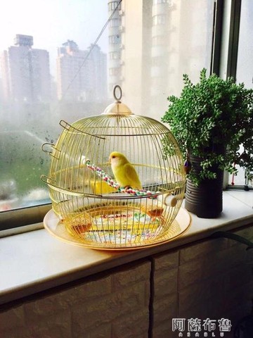 21 裝飾鳥籠推薦 九月優惠比價 Line購物