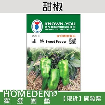 【隔日到貨】甜椒 V-085 蔬菜種子 農友牌 小包裝種子 約30粒/包【HOMEDEN霍登園藝】