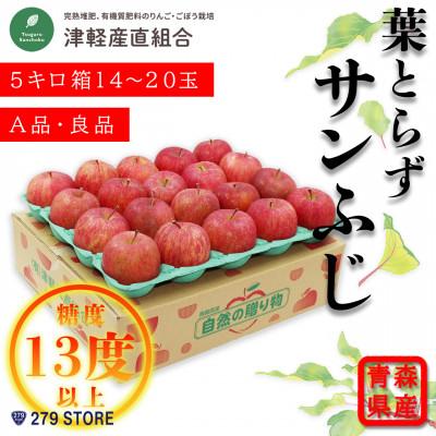 ふるさと納税 青森市 只今発送中!糖度13度以上 葉とらずサンふじ A品 5キロ箱14〜20玉 津軽産直組合直送