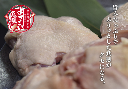 よさこい尾鶏 もも肉(200g×5パック)計6回