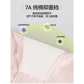 貓人孕婦內褲女士純棉抗菌內襠高腰托腹懷孕早中晚期產后專用短褲
