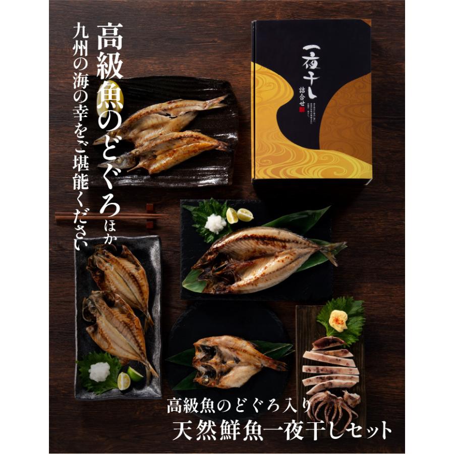 九州 お取り寄せ 干物 ひもの 食べ比べ 豪華 魚 お歳暮 ギフト 贈答 おつまみ 帰省暮 添加物不使用 無添加