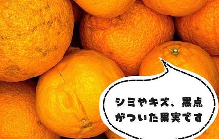 訳あり それでも 不知火 箱込 7.5kg(内容量約 6.8kg) サイズミックス 和歌山県産 産地直送 