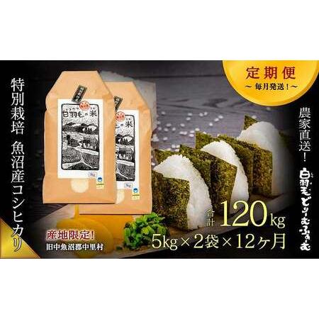 ふるさと納税 ≪令和5年産≫農家直送！魚沼産コシヒカリ特別栽培「白羽毛の米」精米(5kg×2袋)×12回 .. 新潟県十日町市