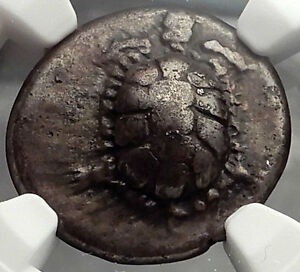 アンティークコイン AEGINA AIGINA Ancient Silver Greek Drachm Coin LAND TORTOISE NGC i58228 350BC