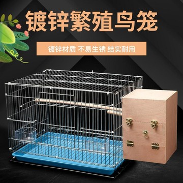💕在臺出貨🔥虎皮鸚鵡鳥籠中大型電鍍牡丹玄鳳八哥加粗養殖大號金屬繁殖鳥籠子